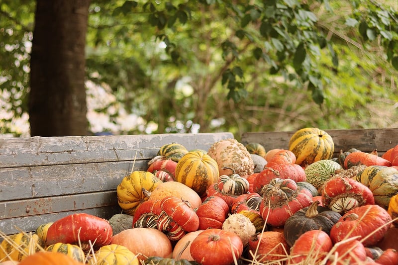 Seasonal Produce